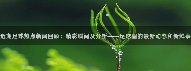 新闻图片