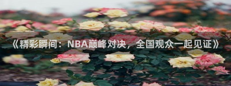 《精彩瞬间：NBA巅峰对决，全国观众一起见证》